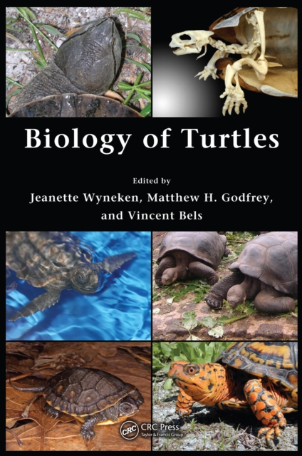 Biology of Turtles : From Structures to Strategies of Life, PDF eBook