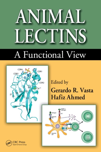 Animal Lectins : A Functional View, PDF eBook