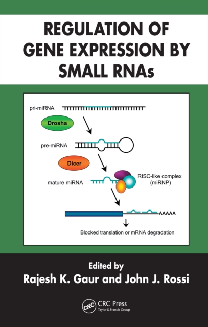 Regulation of Gene Expression by Small RNAs, PDF eBook