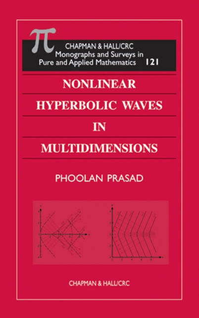 Nonlinear Hyperbolic Waves in Multidimensions, PDF eBook