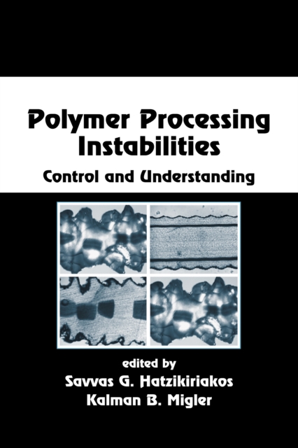Polymer Processing Instabilities : Control and Understanding, PDF eBook