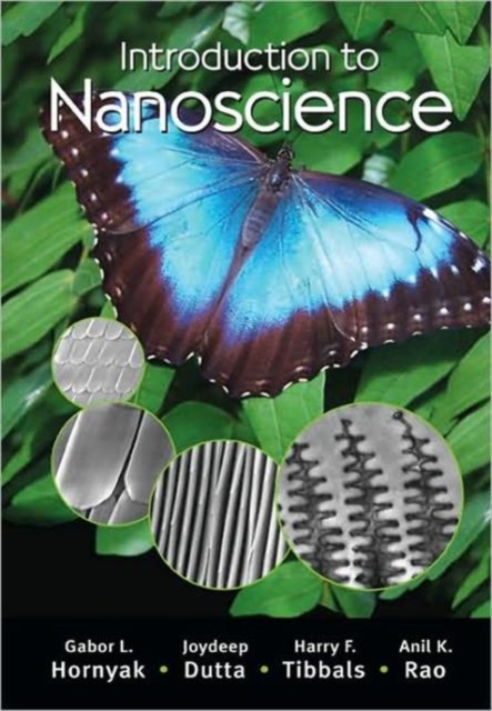 Introduction to Nanoscience, Hardback Book