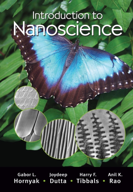 Introduction to Nanoscience, PDF eBook