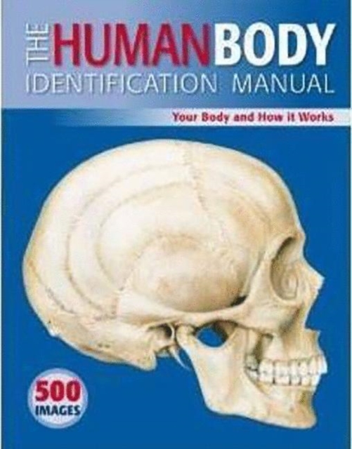 The Human Body Identification Manual : Your Body and How It Works, Paperback Book