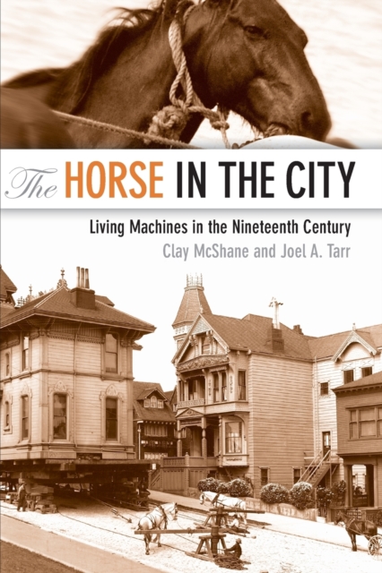 The Horse in the City : Living Machines in the Nineteenth Century, Paperback / softback Book