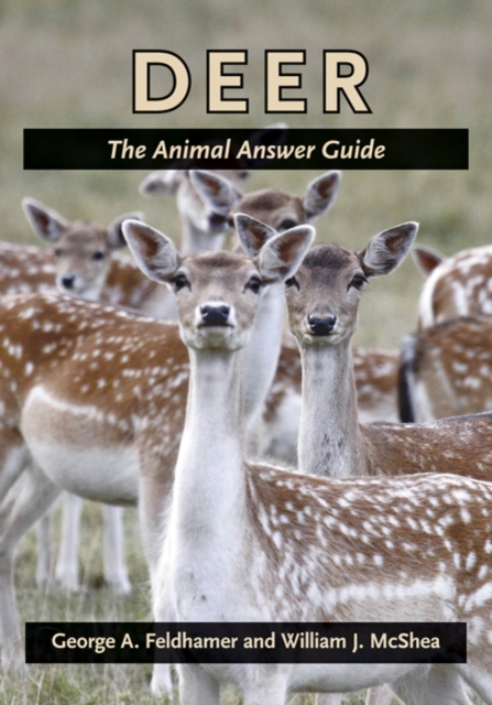 Deer : The Animal Answer Guide, Paperback / softback Book