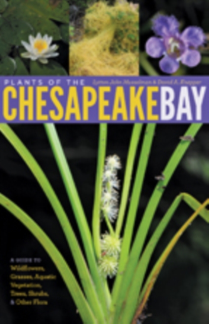 Plants of the Chesapeake Bay : A Guide to Wildflowers, Grasses, Aquatic Vegetation, Trees, Shrubs, and Other Flora, Paperback / softback Book