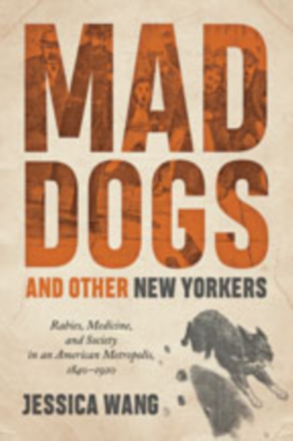 Mad Dogs and Other New Yorkers : Rabies, Medicine, and Society in an American Metropolis, 1840-1920, Hardback Book