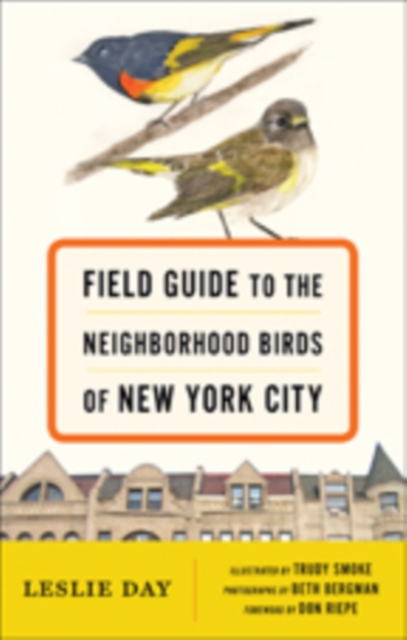 Field Guide to the Neighborhood Birds of New York City, Hardback Book