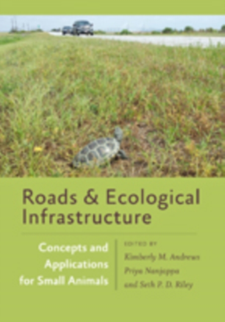 Roads and Ecological Infrastructure : Concepts and Applications for Small Animals, Hardback Book