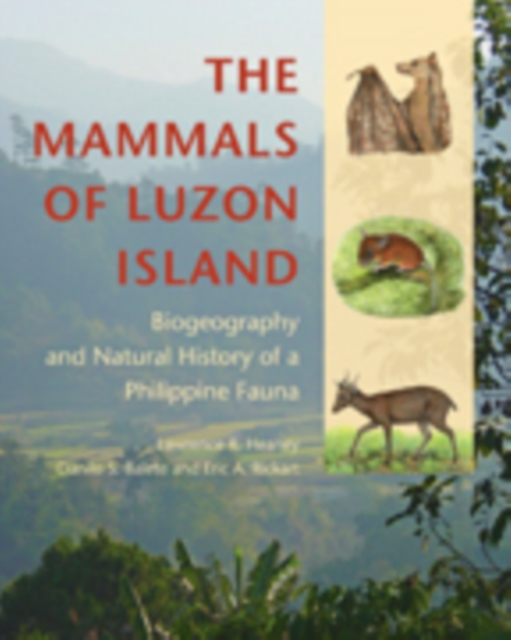 The Mammals of Luzon Island : Biogeography and Natural History of a Philippine Fauna, Hardback Book