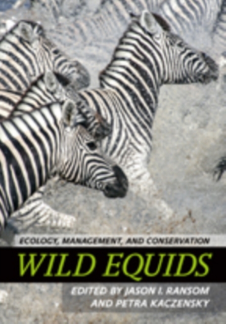 Wild Equids : Ecology, Management, and Conservation, Hardback Book