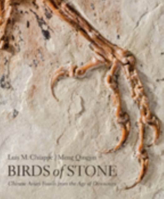 Birds of Stone : Chinese Avian Fossils from the Age of Dinosaurs, Hardback Book