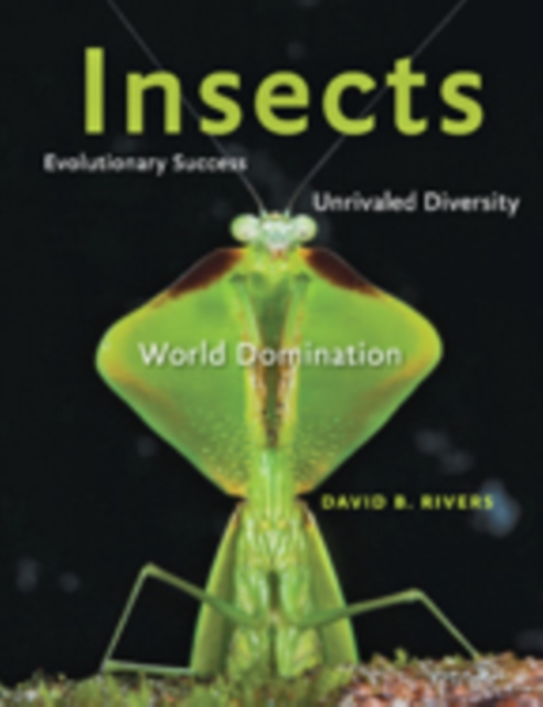 Insects : Evolutionary Success, Unrivaled Diversity, and World Domination, Hardback Book