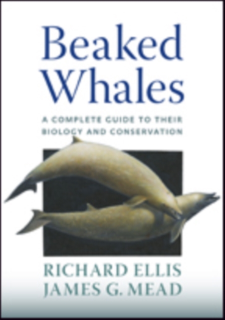 Beaked Whales : A Complete Guide to Their Biology and Conservation, Hardback Book