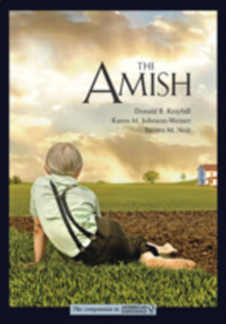 The Amish, Paperback / softback Book