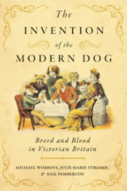 The Invention of the Modern Dog : Breed and Blood in Victorian Britain, Hardback Book