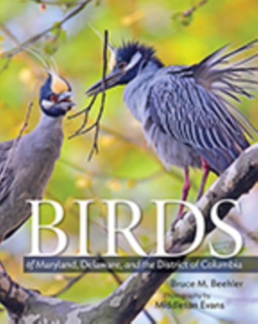 Birds of Maryland, Delaware, and the District of Columbia, Hardback Book