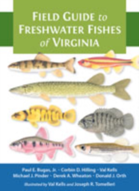 Field Guide to Freshwater Fishes of Virginia, Paperback / softback Book