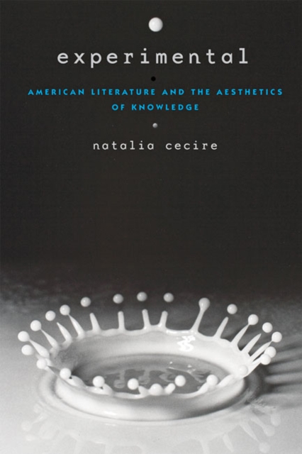 Experimental : American Literature and the Aesthetics of Knowledge, Paperback / softback Book