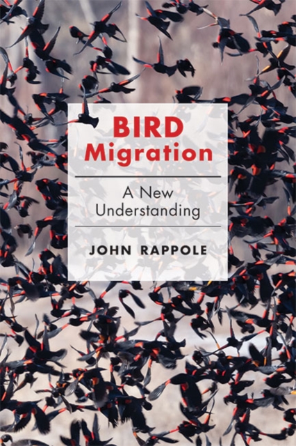 Bird Migration : A New Understanding, Hardback Book