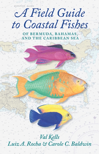 A Field Guide to Coastal Fishes of Bermuda, Bahamas, and the Caribbean Sea, Paperback / softback Book