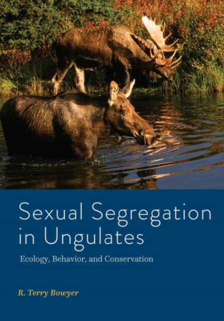 Sexual Segregation in Ungulates : Ecology, Behavior, and Conservation, Hardback Book