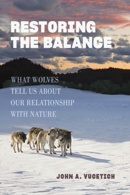 Restoring the Balance : What Wolves Tell Us about Our Relationship with Nature, Paperback / softback Book