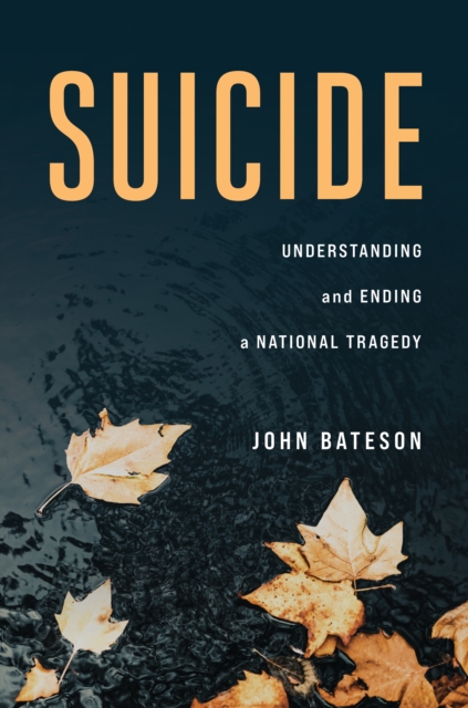 Suicide : Understanding and Ending a National Tragedy, Hardback Book