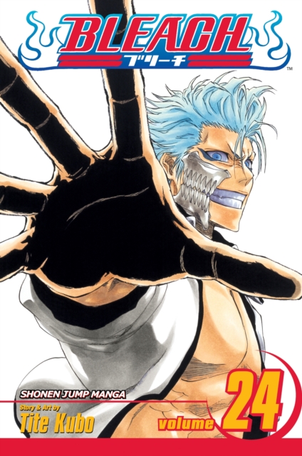 Bleach, Vol. 24, Paperback / softback Book