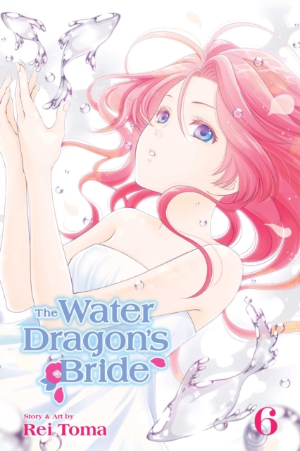 The Water Dragon's Bride, Vol. 6, Paperback / softback Book