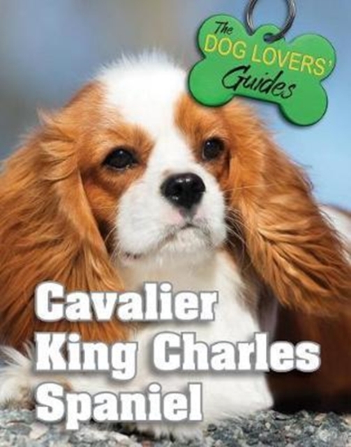 Cavalier King Charles Spaniel, Hardback Book