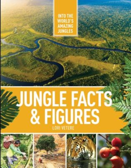 Jungle Facts & Figures, Hardback Book