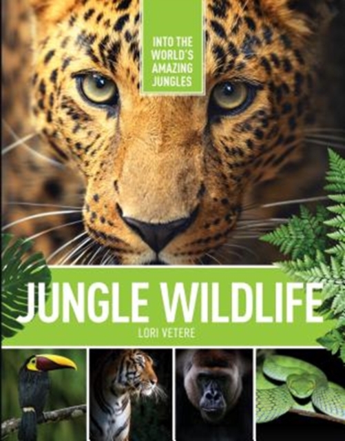 Jungle Wildlife, Hardback Book
