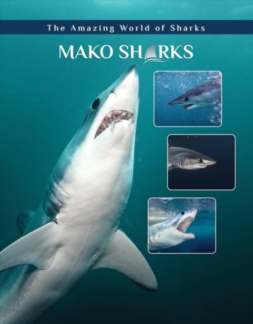 Mako Sharks, Hardback Book