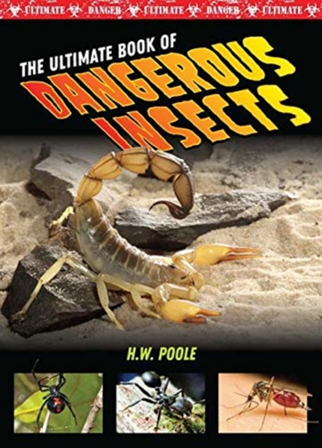 Insects, Hardback Book