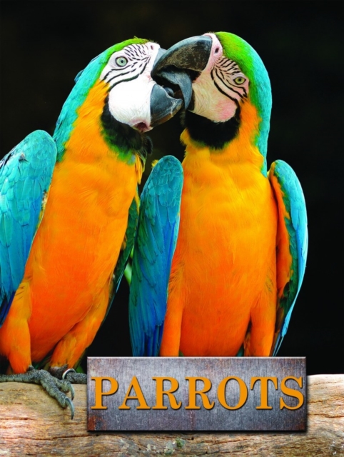 Parrots, Hardback Book