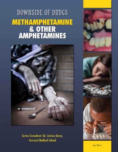 Methamphetamine & Other Amphetamines, EPUB eBook