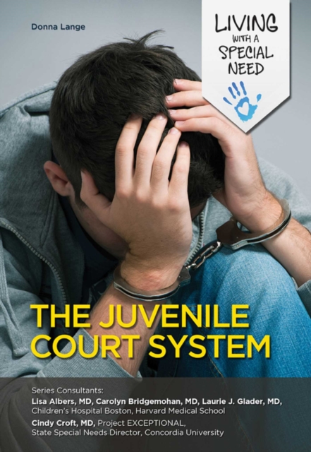 The Juvenile Court System, EPUB eBook