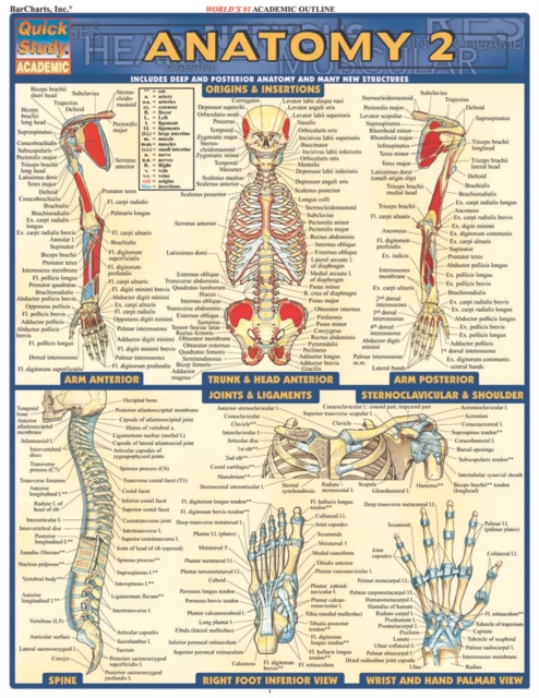 Anatomy 2 - Reference Guide (8.5 x 11) : a QuickStudy Reference Guide, PDF eBook