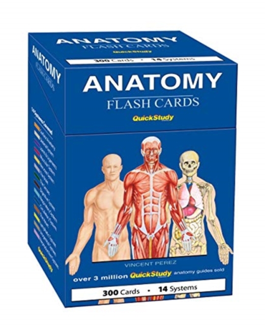 Anatomy Flash Cards : a QuickStudy reference tool, Cards Book