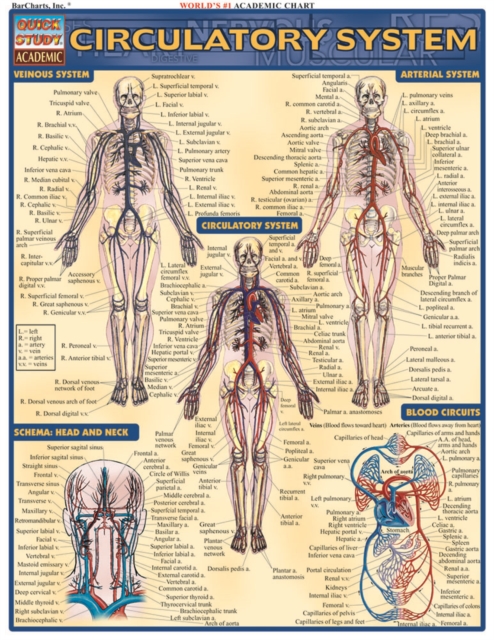Circulatory System, PDF eBook