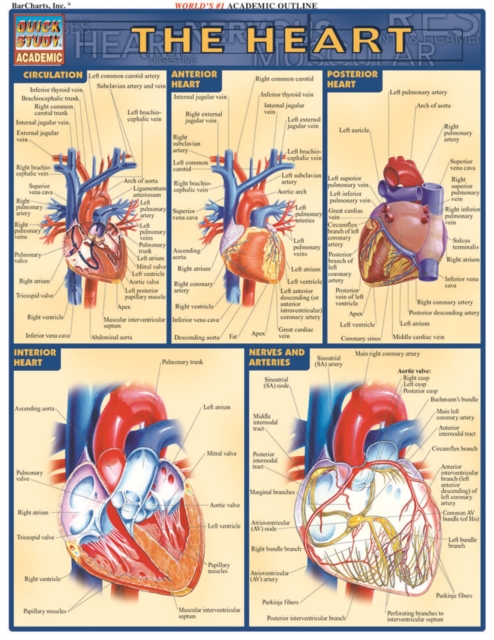 Heart, PDF eBook
