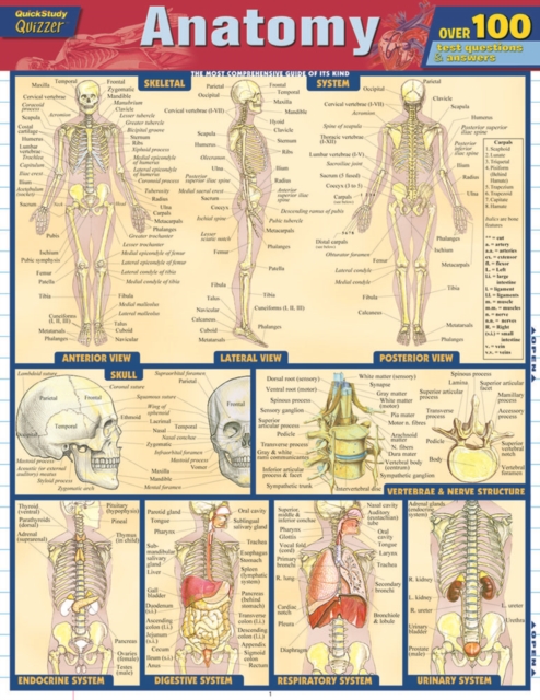 Anatomy Quizzer, PDF eBook