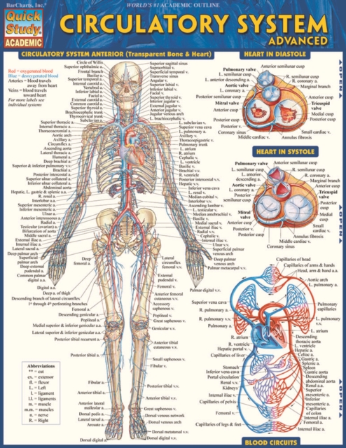 Circulatory System Advanced, PDF eBook
