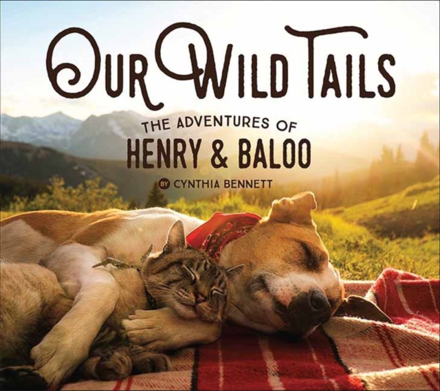 Our Wild Tails : The Adventures of Henry and Baloo, Hardback Book