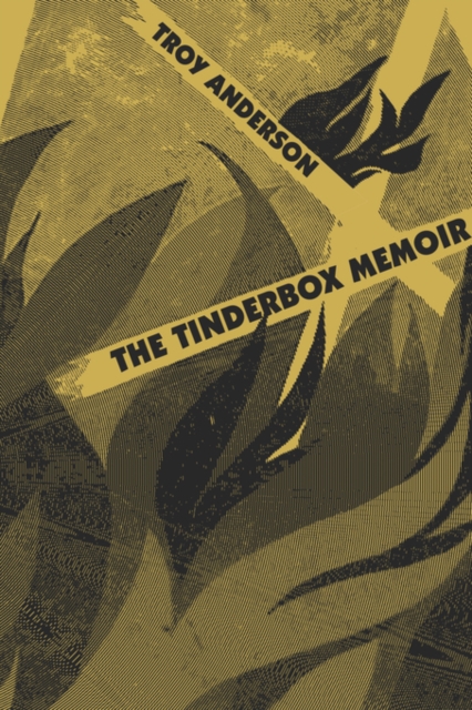 The Tinderbox Memoir, Paperback / softback Book