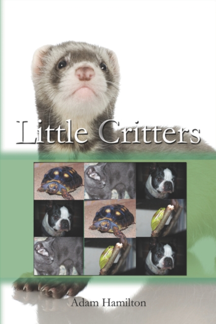 Little Critters, Paperback / softback Book