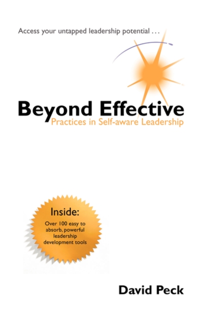 Beyond Effective : Practices in Self-aware Leadership, Paperback / softback Book