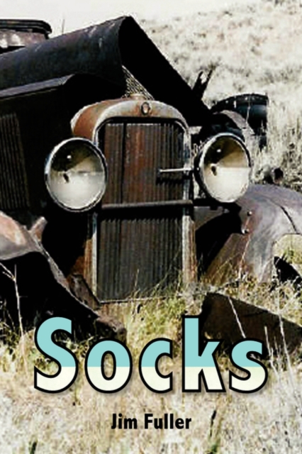 Socks, Paperback / softback Book
